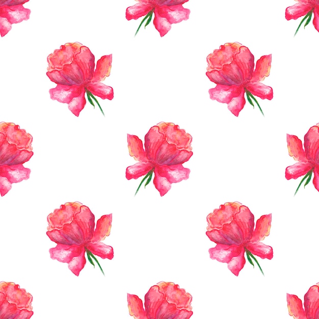 Patrón de acuarela flor de peonía rosa transparente sobre fondo blanco para tela, textiles, papel pintado