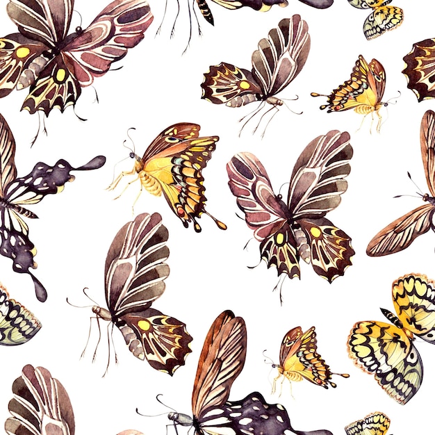 Patrón de acuarela con hermosas mariposas Ilustración