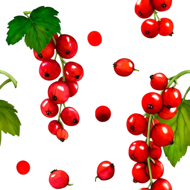Patrón Acuarela rojo grosella madura bayas aisladas sobre fondo blanco Dibujado a mano ilustración botánica Clip art berry ramas Viva Magenta color