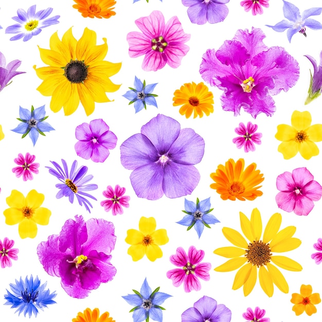 Patrón brillante de flores de colores sobre un fondo blanco como telón de fondo o textura Papel tapiz floral de primavera verano para su diseño Vista superior Plano