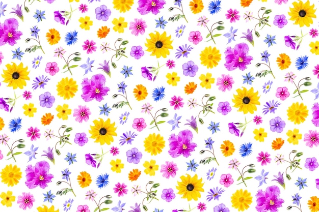 Patrón brillante de flores de colores sobre un fondo blanco como telón de fondo o textura primavera verano f