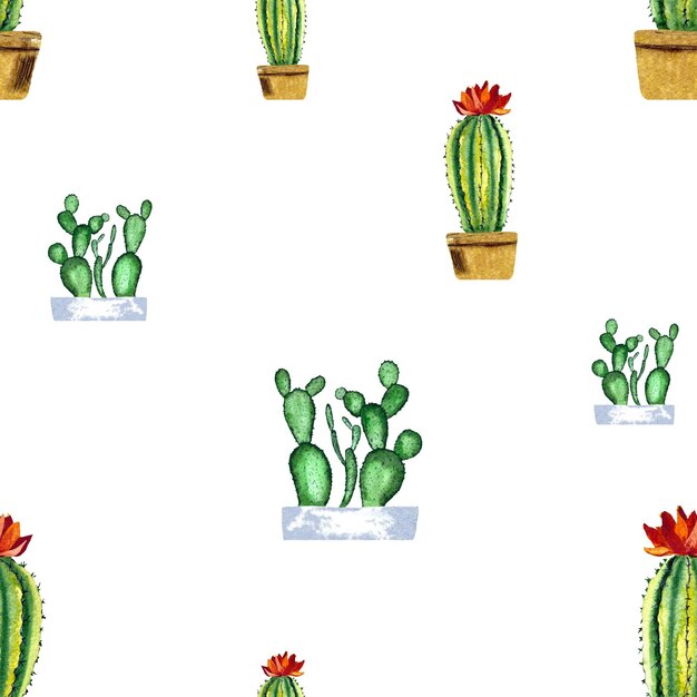 Patrón de cactus en maceta de gran tamaño. Una ilustración de acuarela. Textura dibujada a mano. Espalda blanca aislada