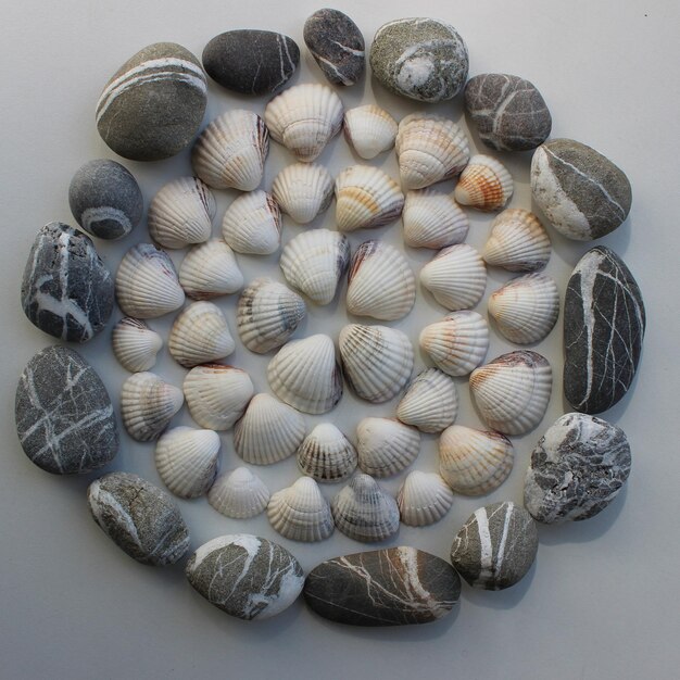 Patrón circular de conchas alineadas dentro de un anillo de piedras marinas cuadradas foto de archivo