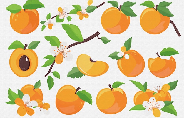 un patrón colorido de naranjas y hojas con flores y hojas