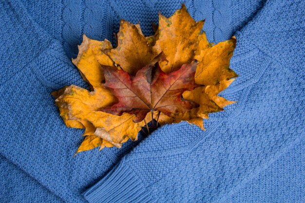 Patrón de coloridos suéteres de punto closeup. Producto artesanal de lana merino. Ropa doblada con hojas de otoño.