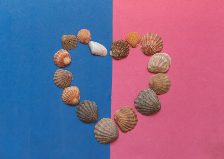 Foto patrón de concha creativa sobre fondo azul y rosa pastel. endecha plana de verano.