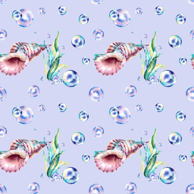 Un patrón de conchas marinas de algas y burbujas Ilustración acuarela Collage Habitantes del mar