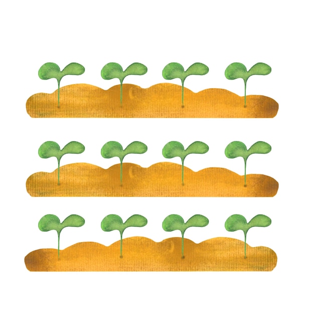 Patrón de cosecha de repollo de verduras ilustración aislada dibujada por una imagen de acuarela para la decoración de objetos con una impresión perfecta de tema de verano