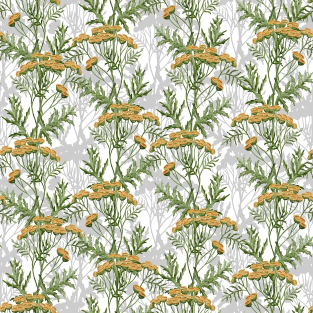 Patrón sin costura Tansy Fondo de acuarela dibujado a mano con hierbas amarillas y hojas verdes en un fondo aislado Papel de pared floral vintage Ilustración para papel de embalaje o diseño textil