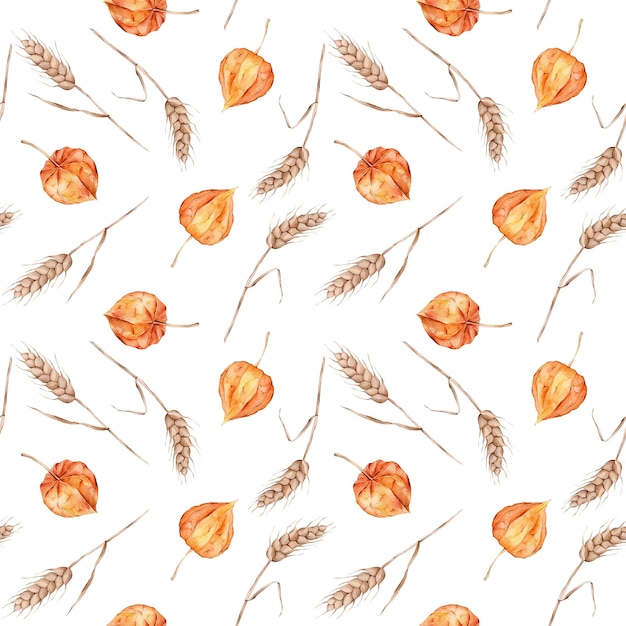 Patrón sin costuras con acuarela physalis Superfood cartel naranja Vegetal Rojo naranja amarillo Vegetarianismo Producto agrícola de otoño Espiguillas de trigo Acuarela de patrones sin fisuras