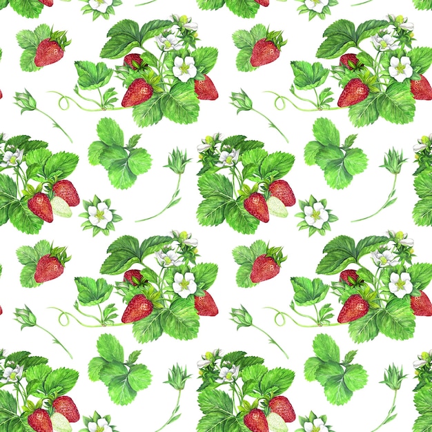 Patrón sin costuras de arbustos fresas Ilustración acuarela aislada sobre fondo blanco