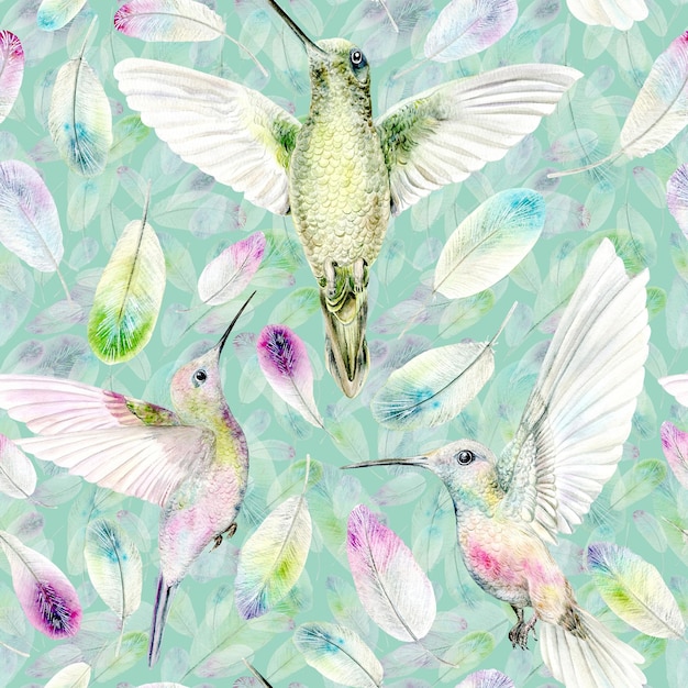 El patrón sin costuras de un colibrí y las plumas de colores brillantes la ilustración en acuarela es a mano