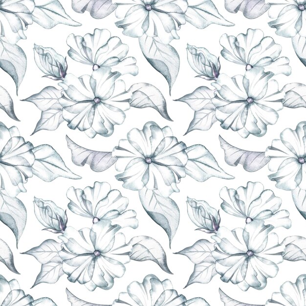 Patrón sin costuras con delicadas flores blancas Ilustración a acuarela hecha a mano