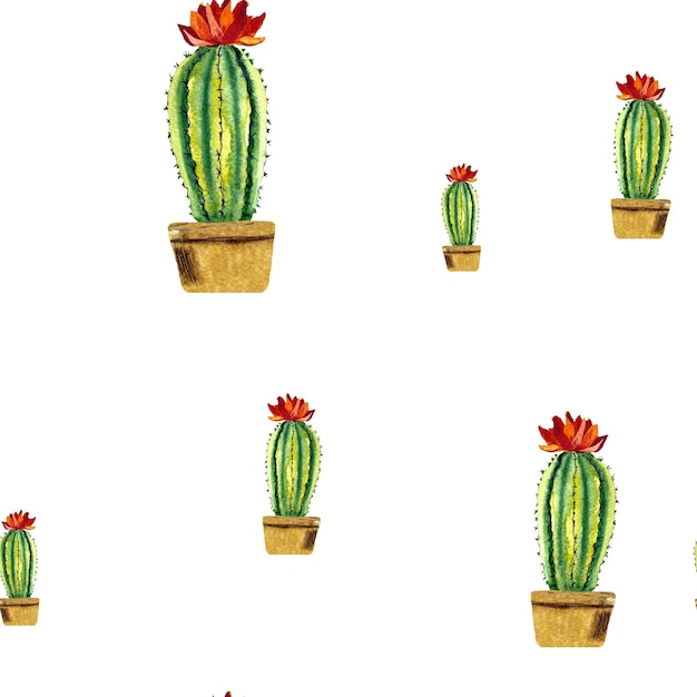 Patrón sin costuras de flor verde de cactus. Una ilustración de acuarela. Textura dibujada a mano. Aislado.