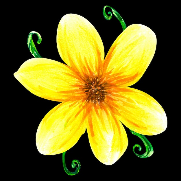 Patrón sin costuras con flores Acuarela abstracta verano brillante flores amarillas Objetos aislados sobre fondo negro
