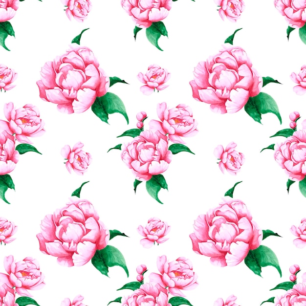 Patrón sin costuras de flores de peonía dibujadas a mano Peonía rosa acuarela sobre fondo blanco textil