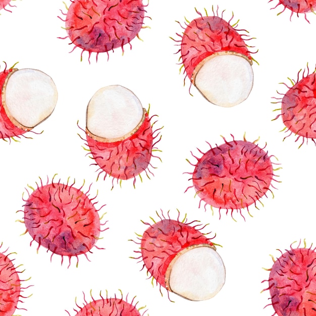 El patrón sin costuras de la fruta de rambutan en acuarela sobre un fondo blanco