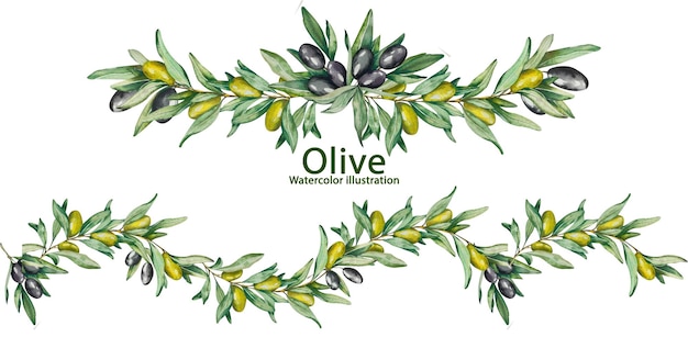 Patrón sin costuras Garlandia de acuarela Ramas de olivo con frutas Hojas negras Diseño de envases Cosméticos Textiles para el hogar Invitaciones Menus de cafetería Artesanía de mesa Flyers