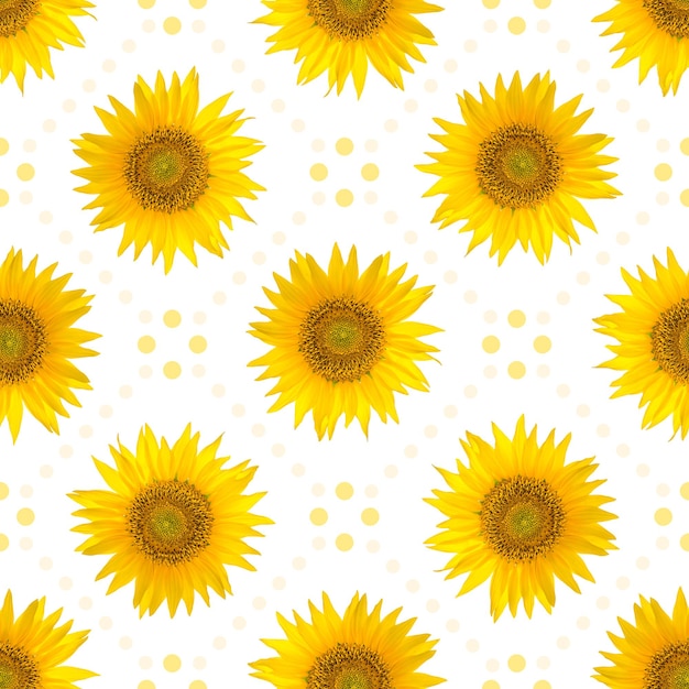 Patrón sin costuras con grandes girasoles brillantes y puntos sobre fondo blanco