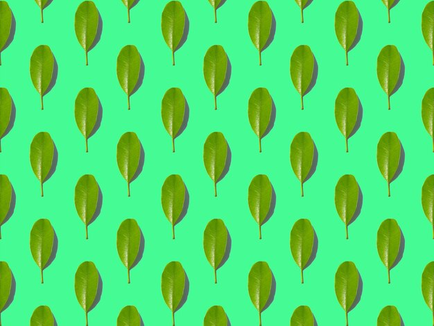 Patrón sin costuras de hojas fondo sin fin