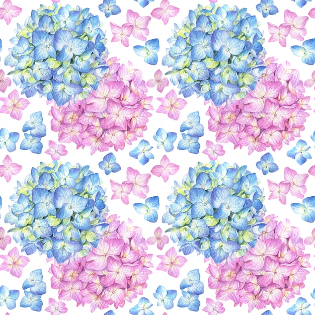 Patrón sin costuras con hortensia azul y rosa sobre un fondo blanco