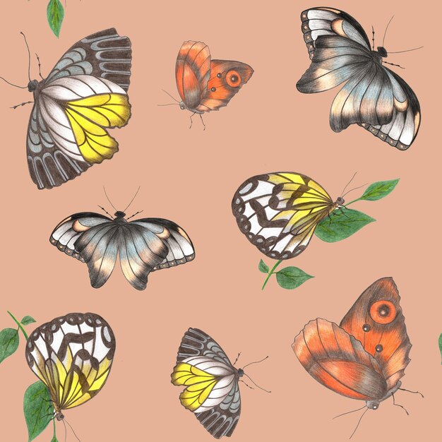 Patrón sin costuras con mariposas de colores dibujadas a mano sobre papel digital de fondo rosa con mariposa