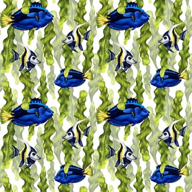 Patrón sin costuras con matorrales de algas marinas y peces exóticos azules Fondo para tejidos textiles