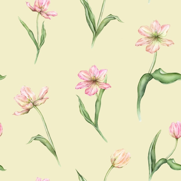 Patrón sin costuras de pastel rosa amarillo claro tulipanes brotes ilustración de acuarela aislada en