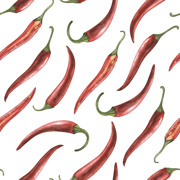 El patrón sin costuras con pimienta de chile roja caliente la ilustración en acuarela está dibujada a mano en estilo botánico