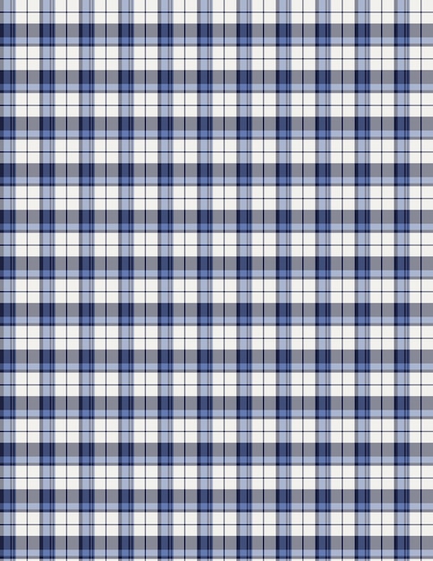 un patrón a cuadros azul y blanco de un tartan
