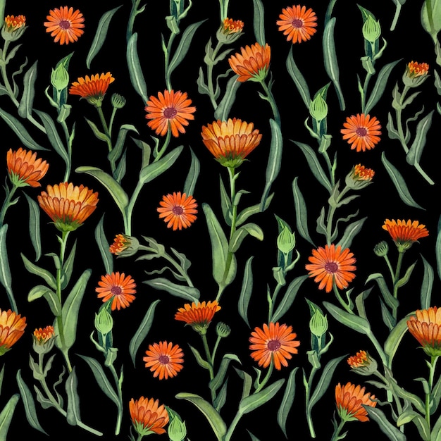 Patrón sin fisuras con flores de naranja y hojas de caléndula verde sobre un fondo oscuro