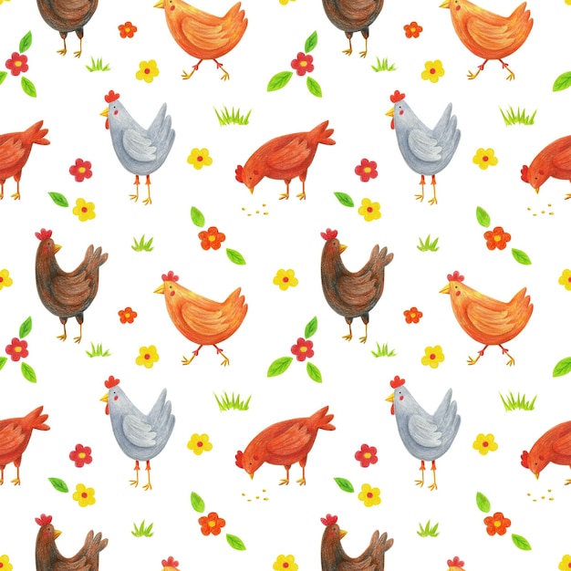 Patrón sin fisuras de gallinas en blanco Color lápices pollitos flores hojas hierba repetir impresión