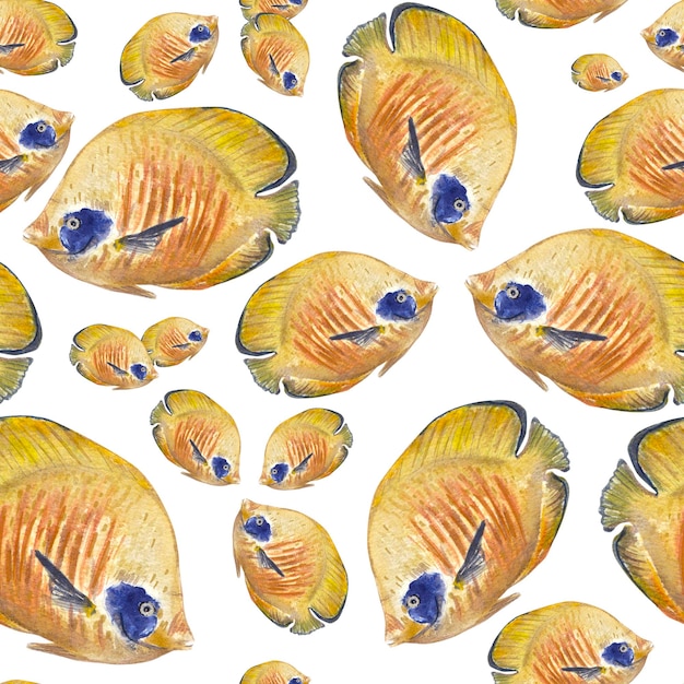 Patrón sin fisuras con hermosos peces tropicales sobre un fondo blanco Ilustración acuarela de un mar