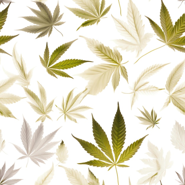 Patrón sin fisuras con hojas de cannabis