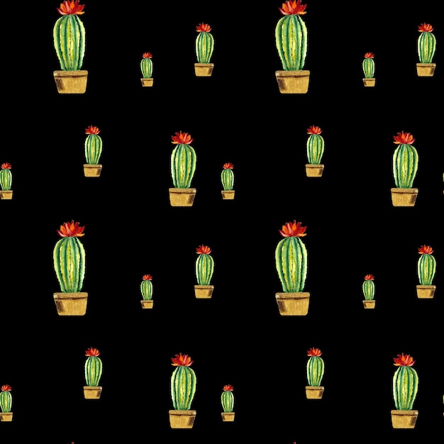 Patrón de flor roja verde cactus. Una ilustración de acuarela. Textura dibujada a mano. Espalda negra aislada.