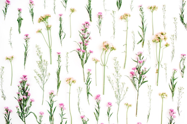 Foto patrón floral con flores silvestres de color rosa y beige, hojas verdes, ramas en blanco