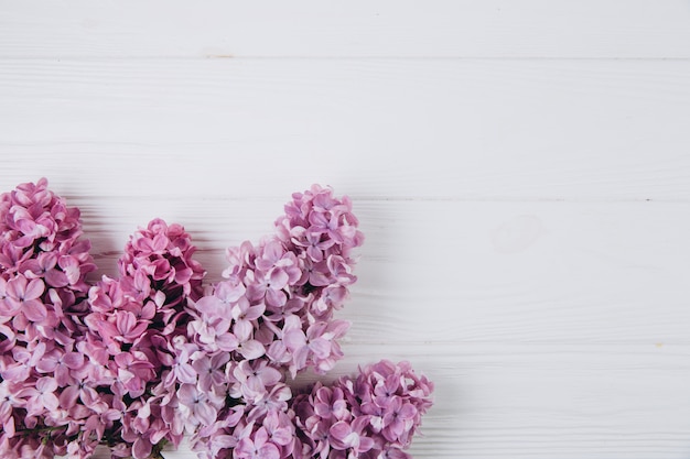 Patrón floral de una rama de lila sobre un fondo blanco de madera