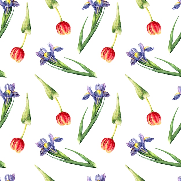 Sin patrón de flores pintadas a mano de iris y tulipán