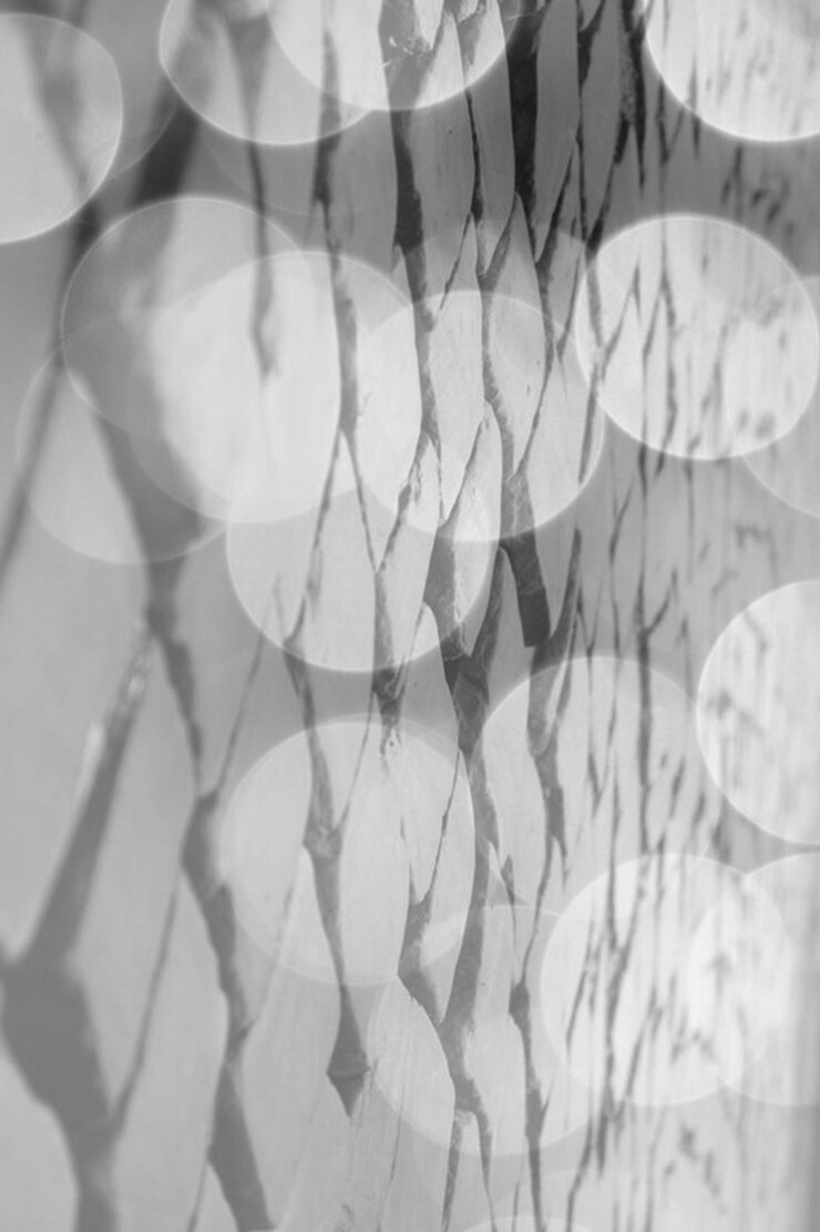 Foto patrón de fondo abstracto papel tapiz de celebración presentación de diapositivas cubierta colores vívidos textura papel tapiz festivo negro y blanco monocromo ilustración en escala de gris