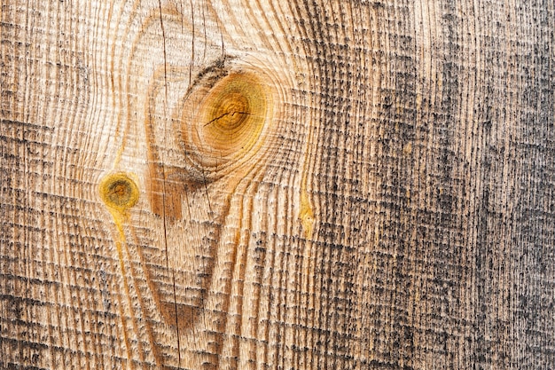 Patrón de fondo de árbol de textura de madera que muestra anillos de crecimiento