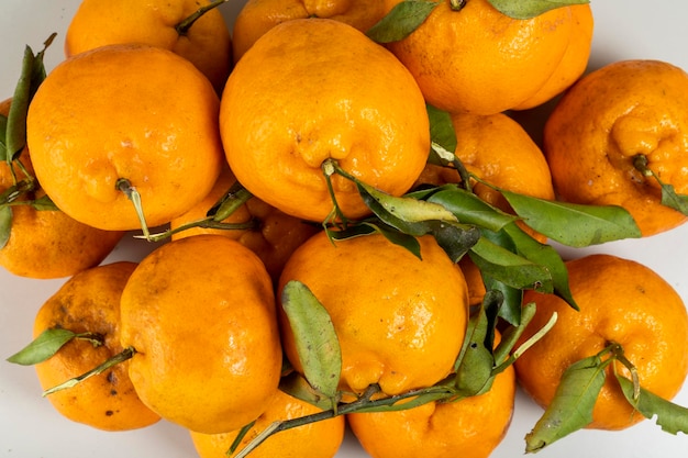 Patrón de fondo de frutas de mandarina Pokan.