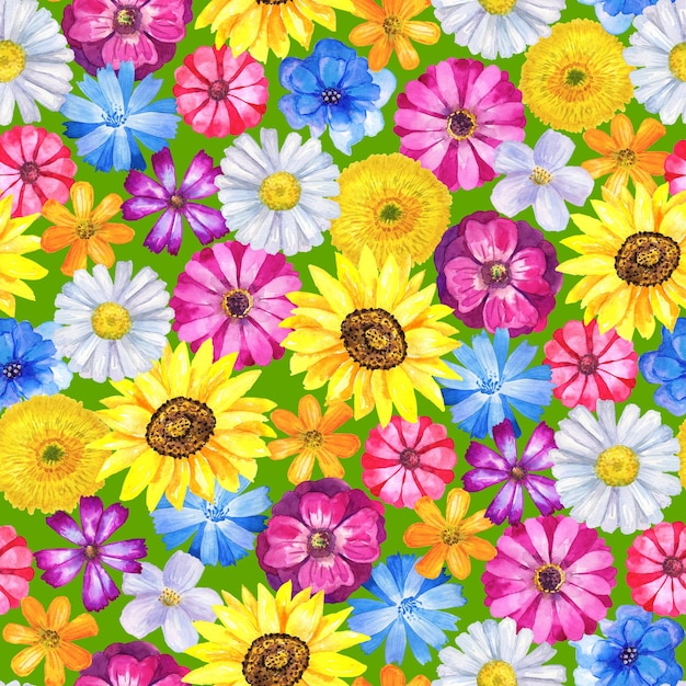 Patrón de fondo transparente floral con hermosas flores de acuarela Ilustración botánica dibujada a mano Textura para embalaje textil de tela impresa