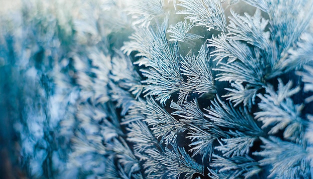 patrón de helada de invierno en vidrio un país de las maravillas congelado de delicados cristales de hielo creando un hipnotizante
