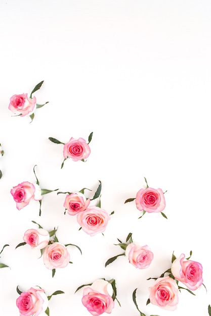 Foto patrón de hojas y capullos de rosa rosa laicos plana en blanco