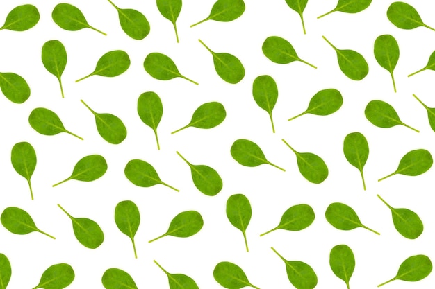 Patrón de hojas de espinaca bebé sobre fondo blanco Concepto laico plano de alimentos orgánicos y veganos