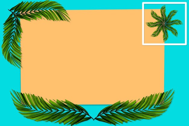 Foto patrón de hojas de palma verdes para el concepto de la naturaleza hoja tropical sobre fondo de papel naranja y azul azul