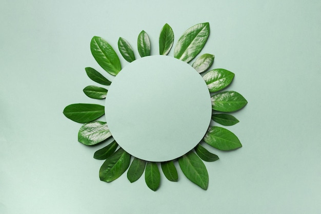 Patrón de hojas de primavera sobre fondo verde Diseño creativo Vista superior Endecha plana