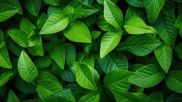 El patrón de hojas verdes el follaje exuberante natural de las hojas genera IA