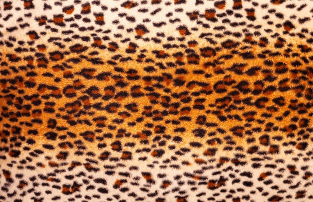 Foto patrón de leopardo