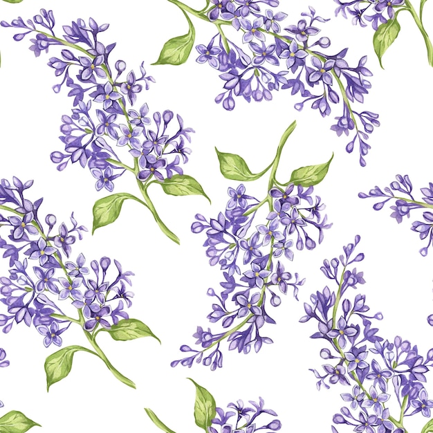 Patrón Lila acuarela ilustración botánica flores lilas